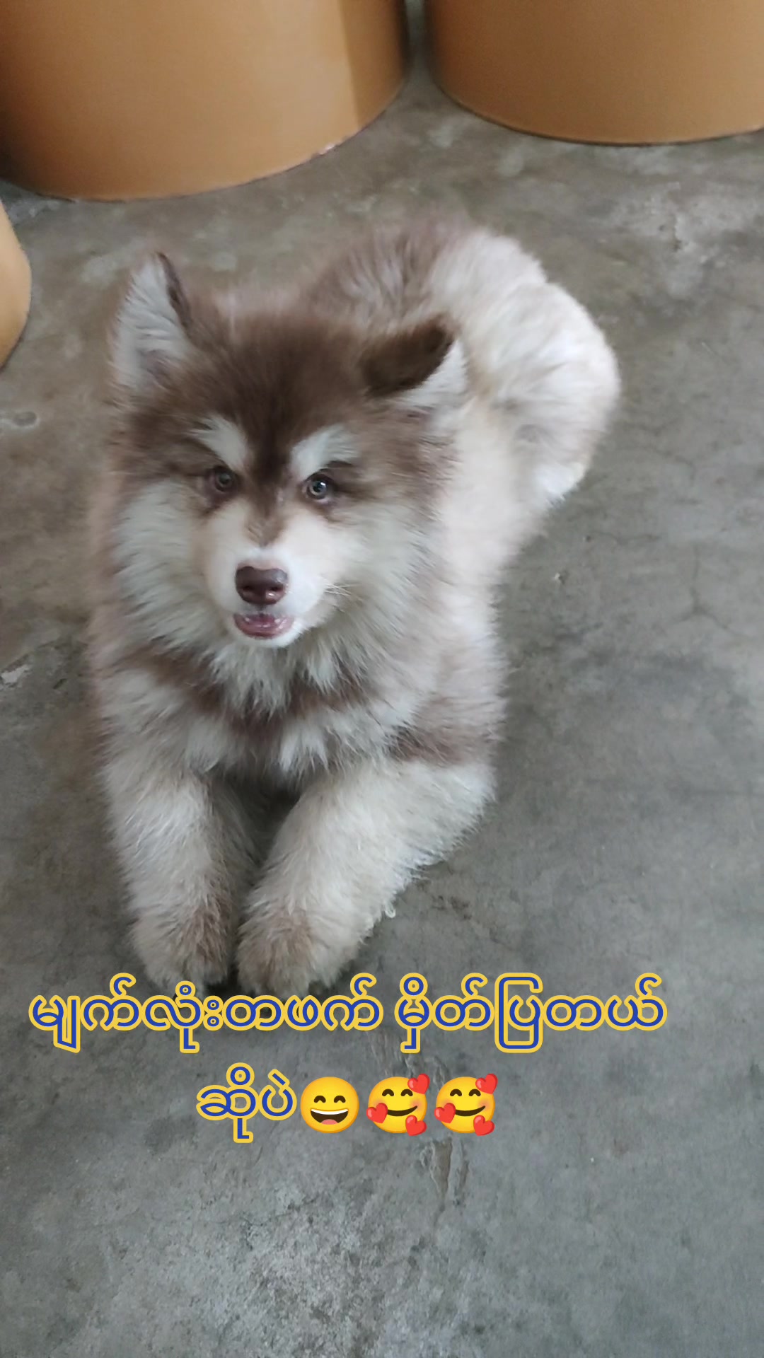 @Sai Seng Lain