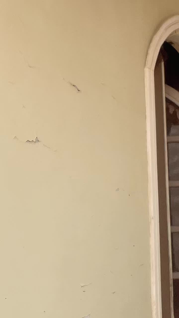 @المصراوي