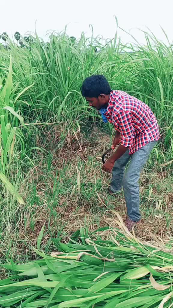 @Prabhu Ravulakollu