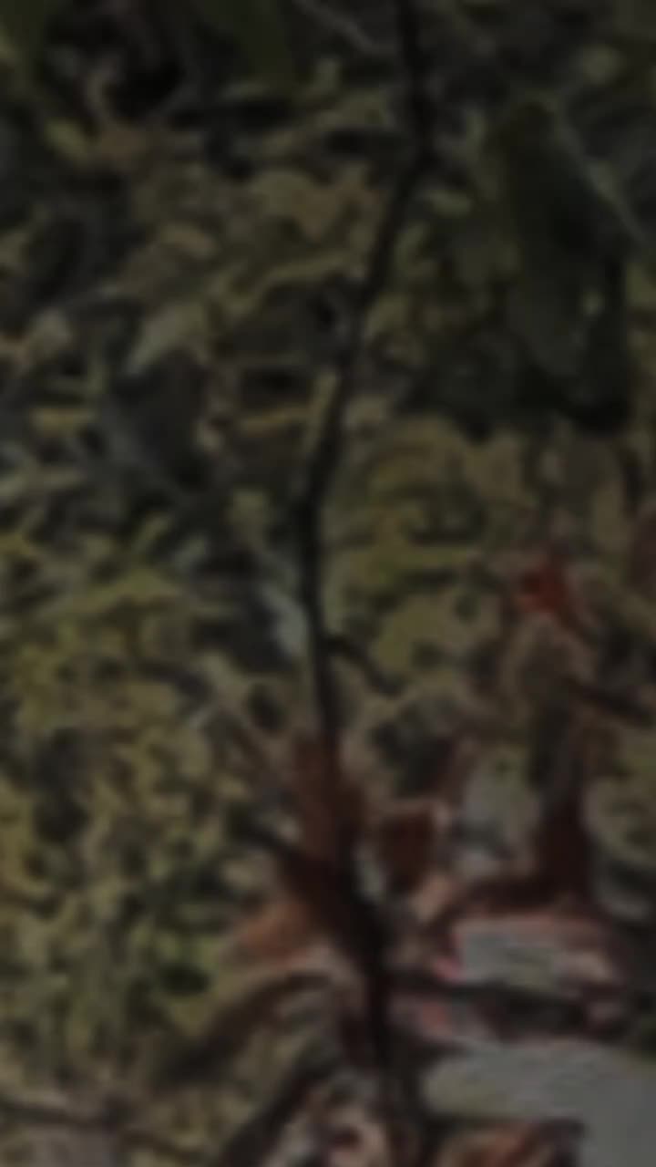 @˚𝐓𝐡𝐚𝐫𝐮𝐮...˃˃׀🤍❢נ