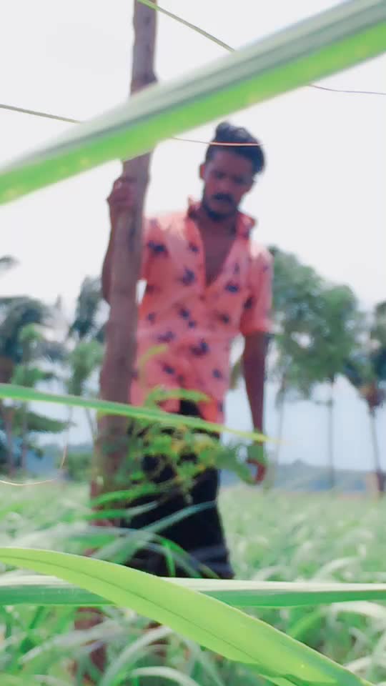@Dairimillk1