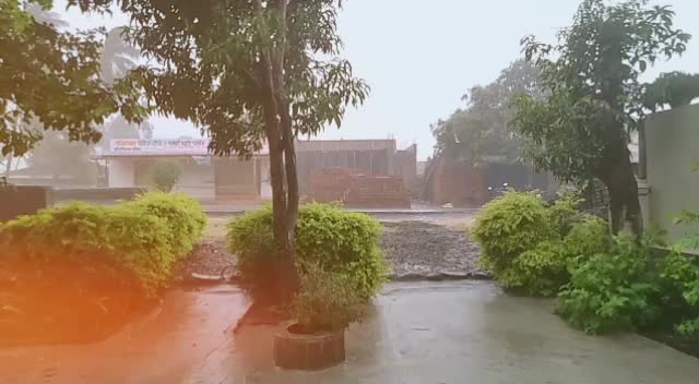 @Sarika Jangam