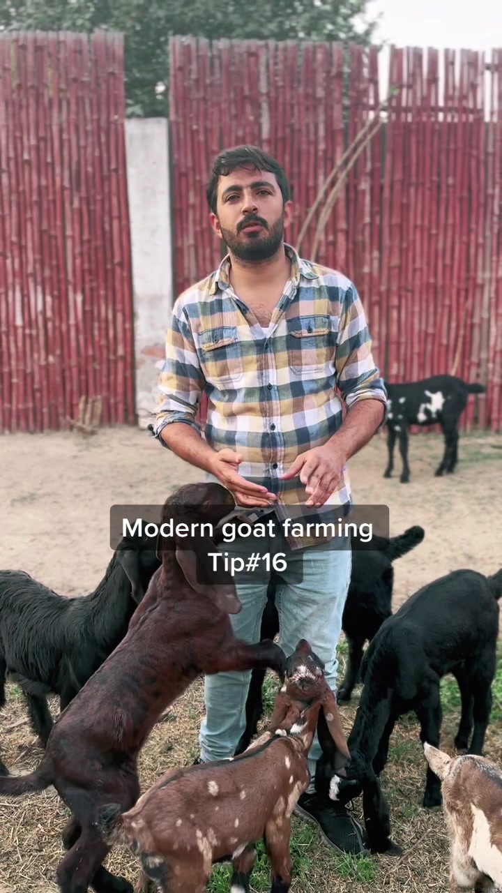 @ZA Farms