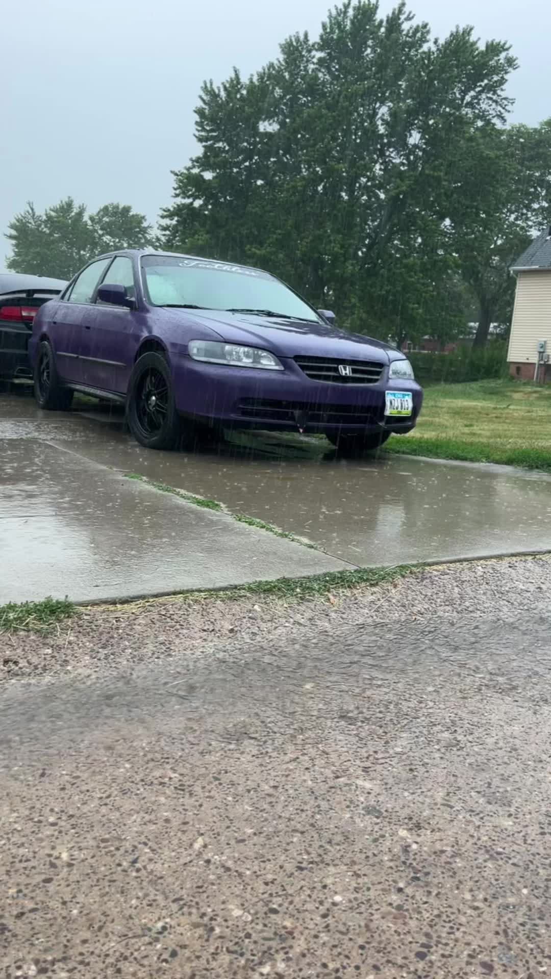 @slammed_dailys