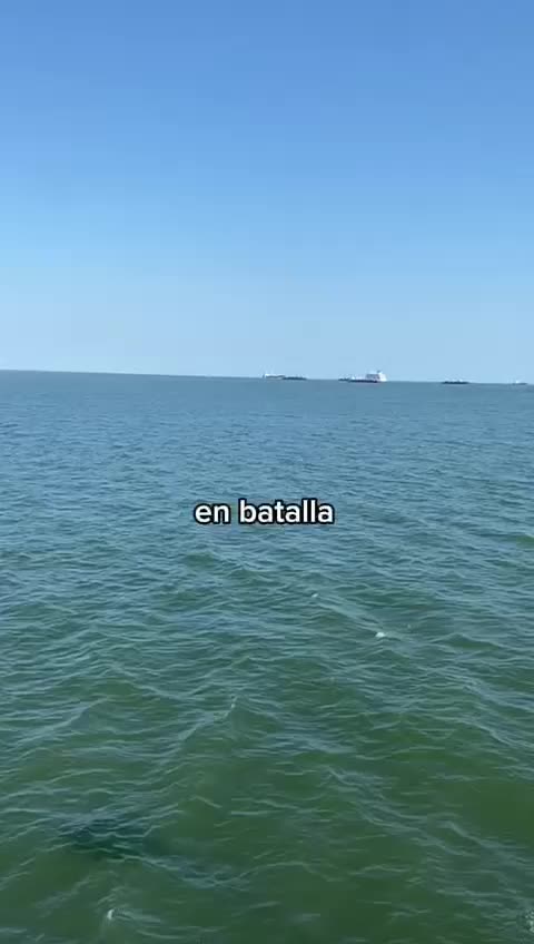@Rosa