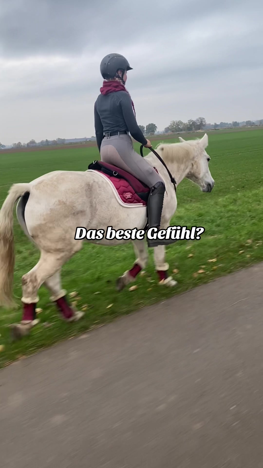 @show.jumper_speedy