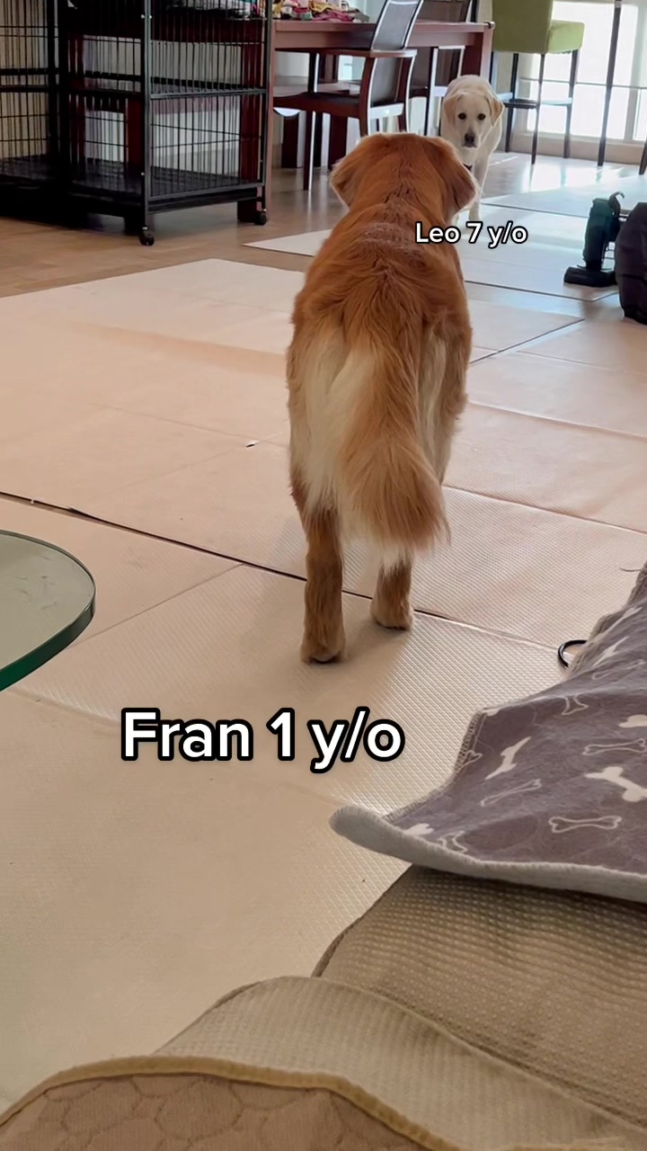 @Mona Leo Fran