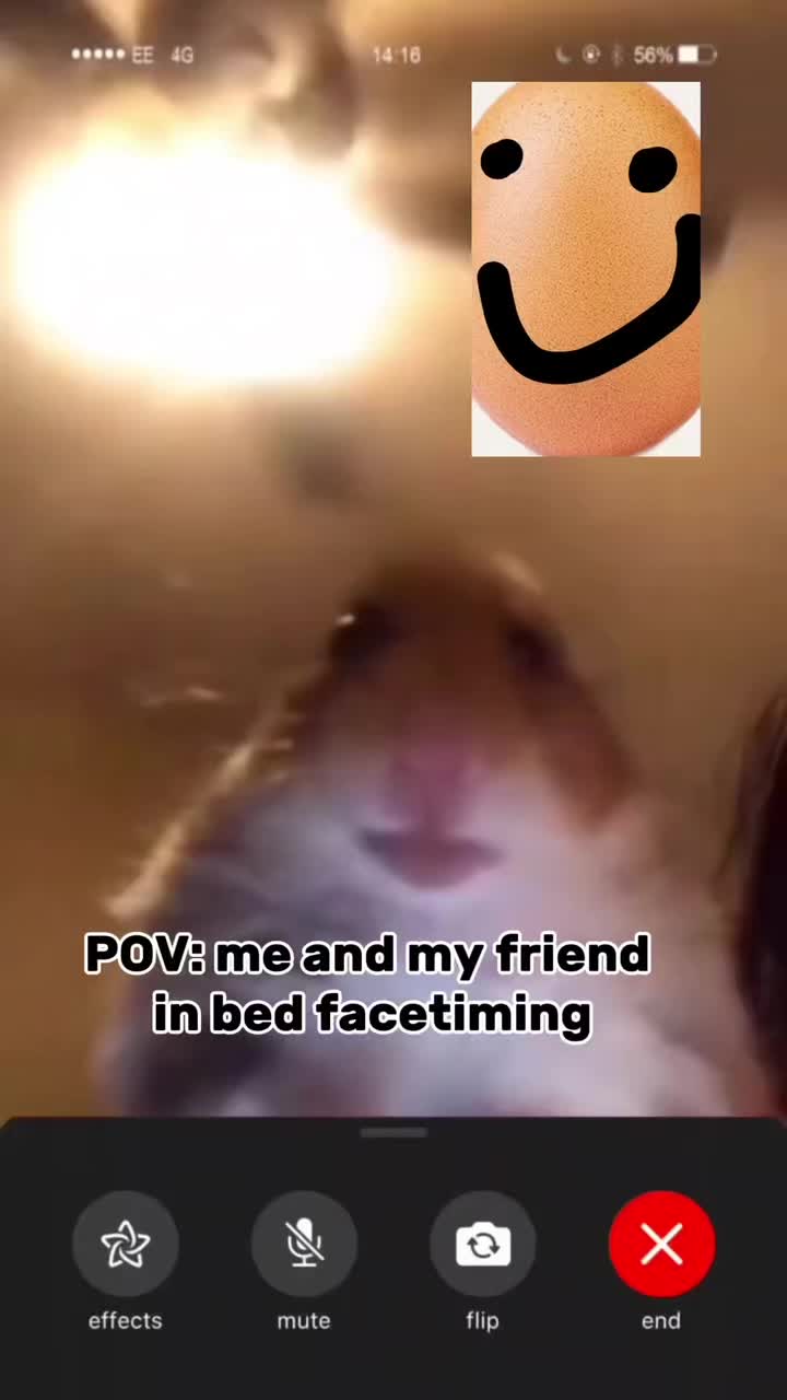 @skypescoop