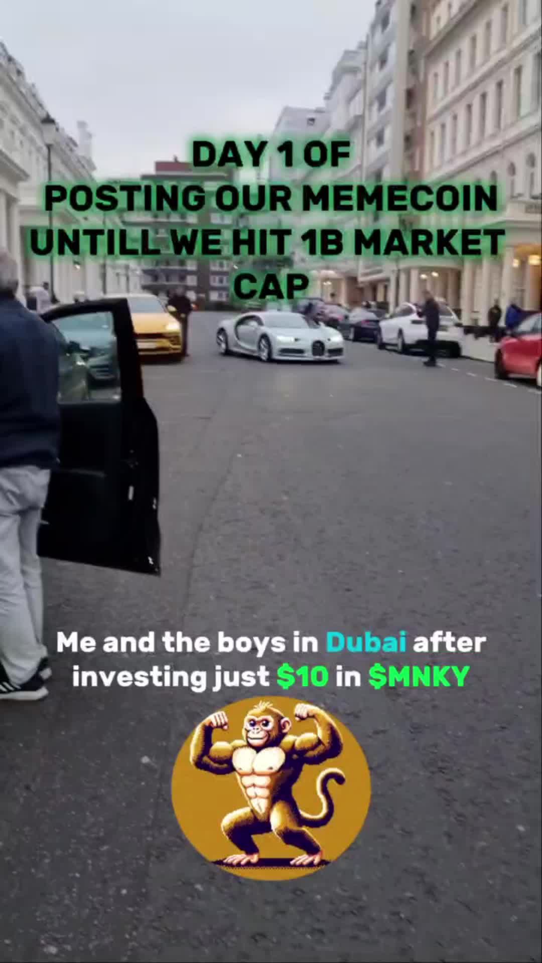 @Monkey Coin $MNKY