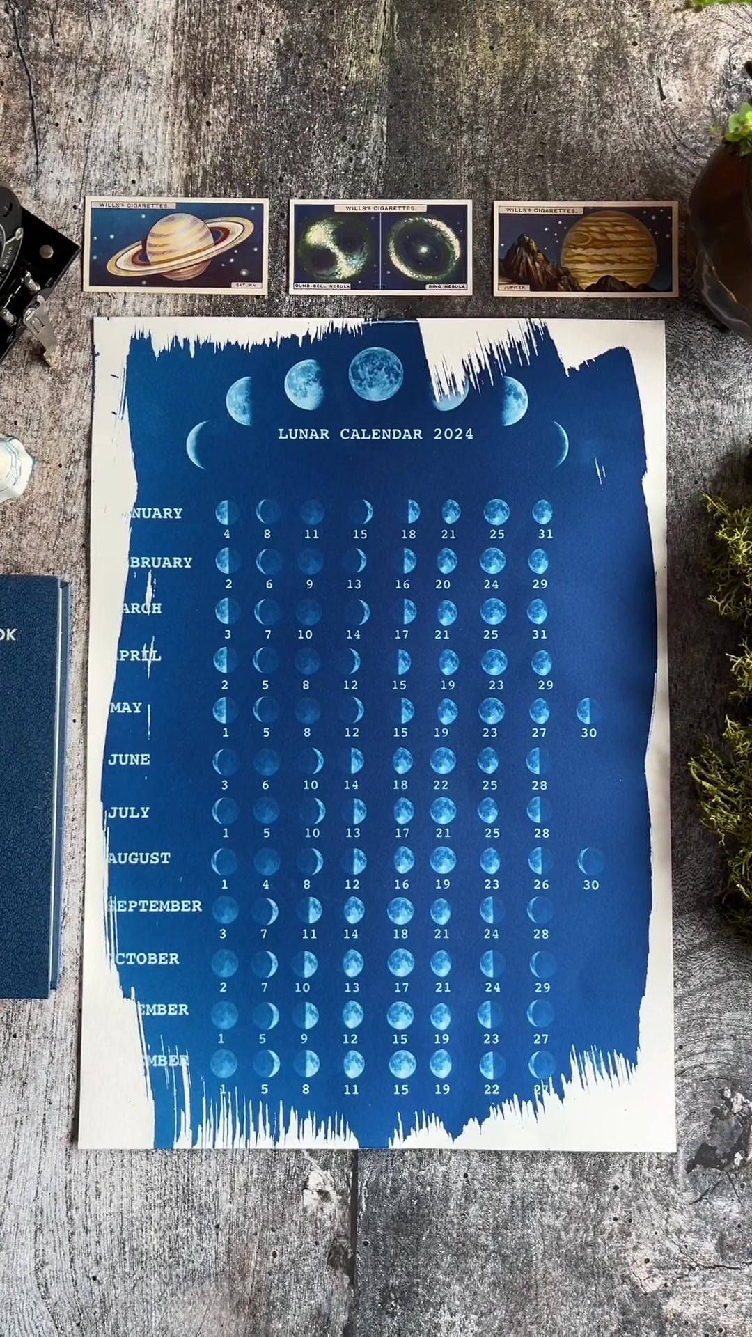 @ObscuraCollective