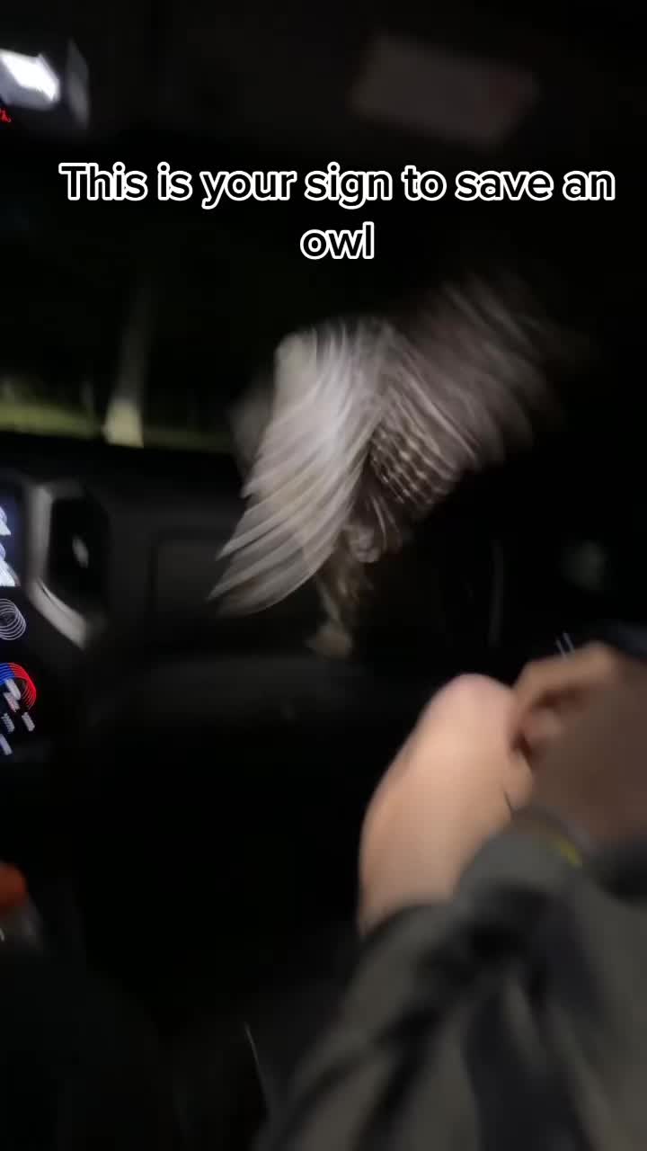 @frogclasby