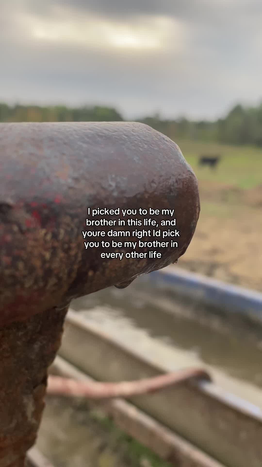 @Farmer guy