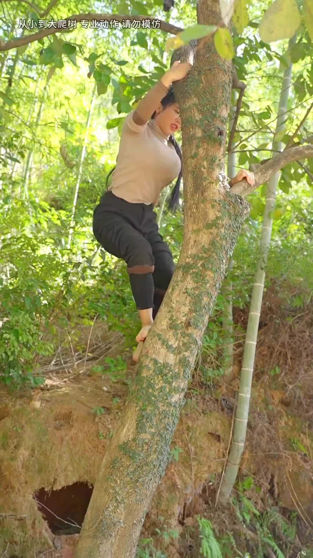 @Xiaotian