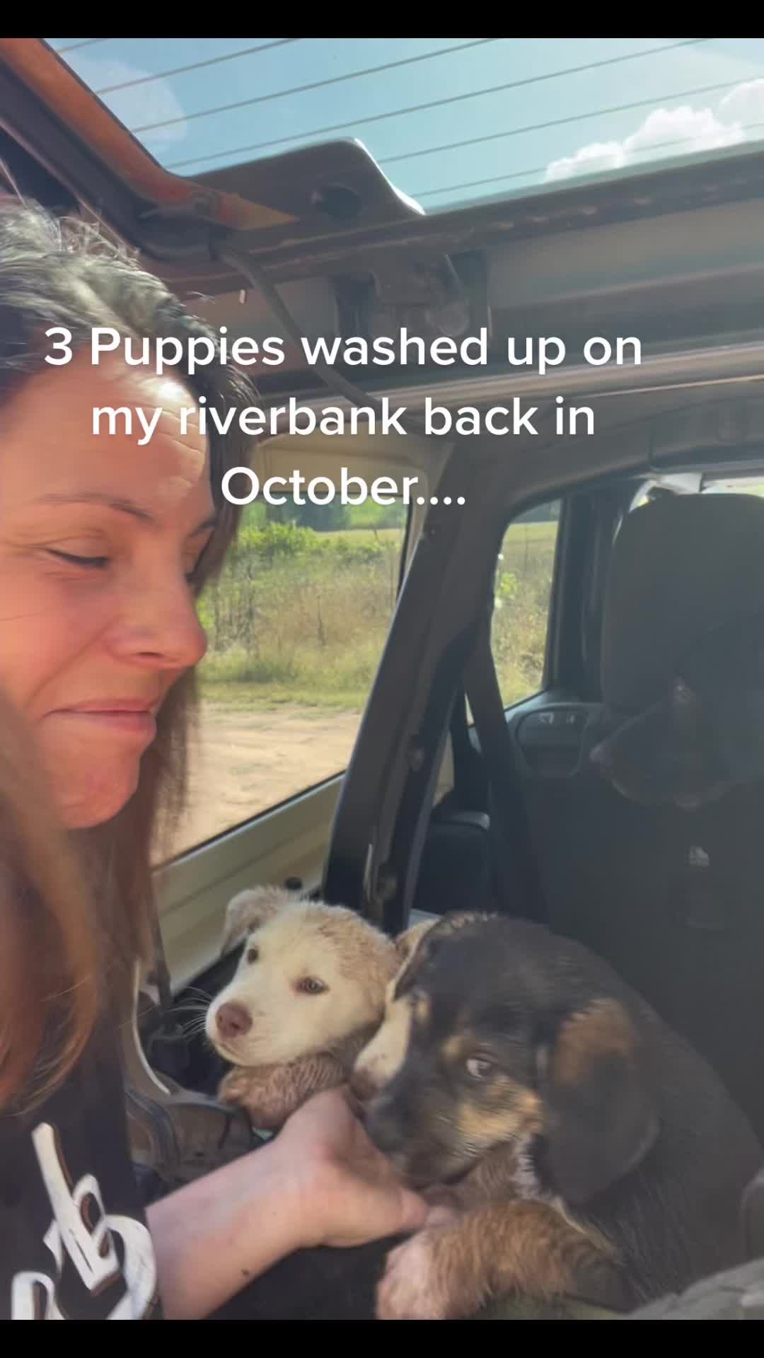 @GypsyJungle