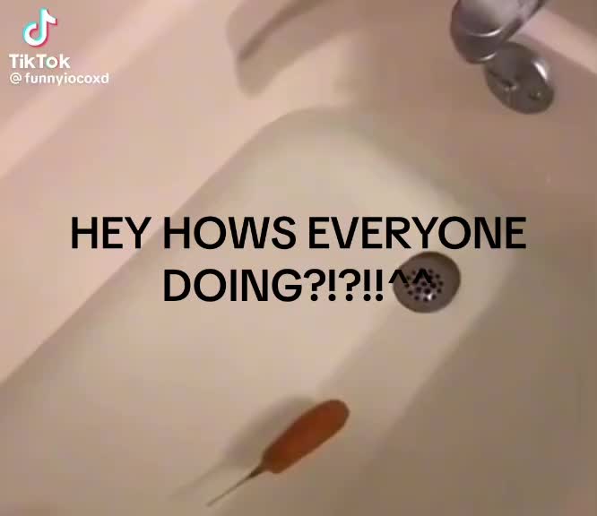 @𝐊𝐚𝐲