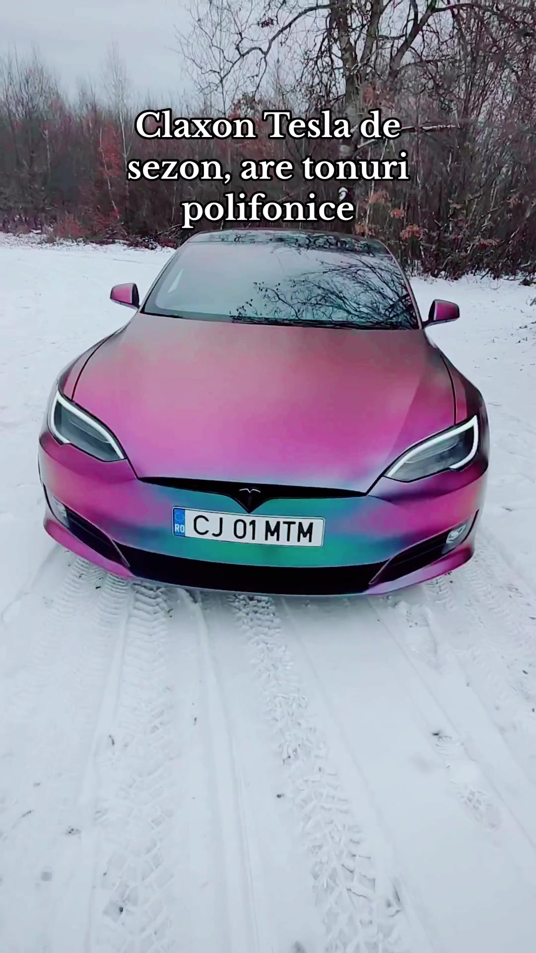 @Moldovan Daniel