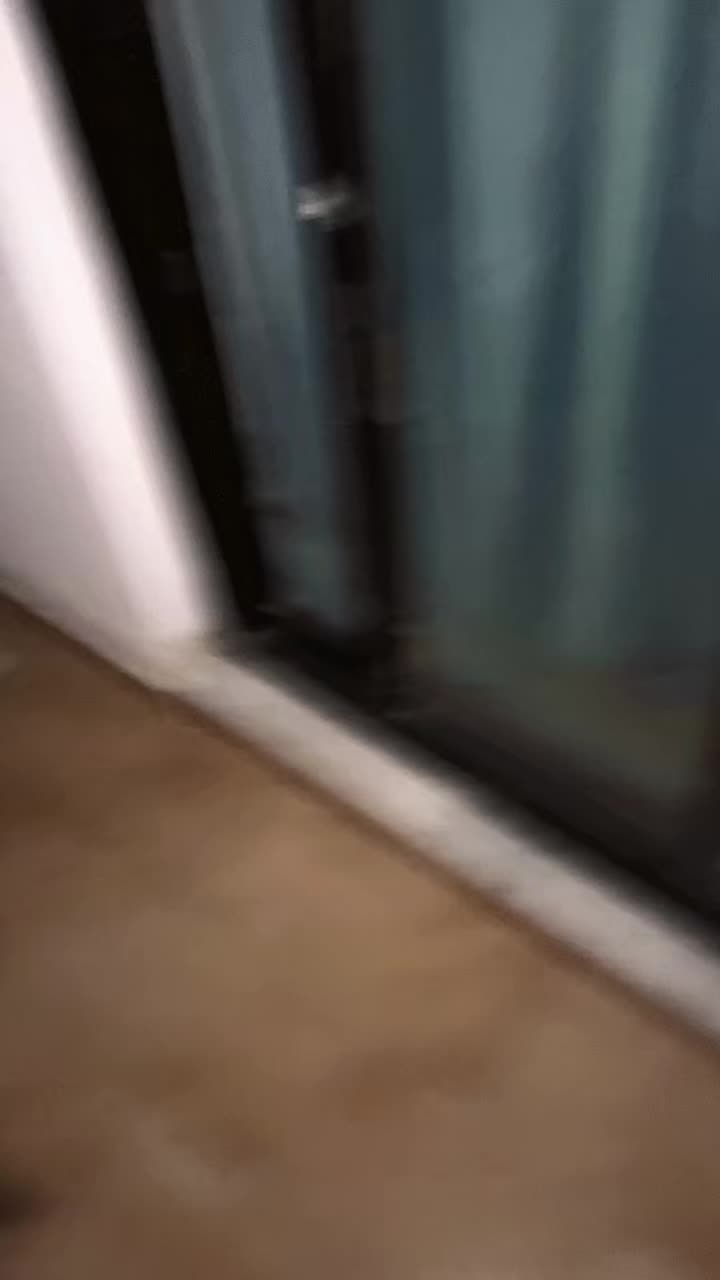 @7kouu7zouu7