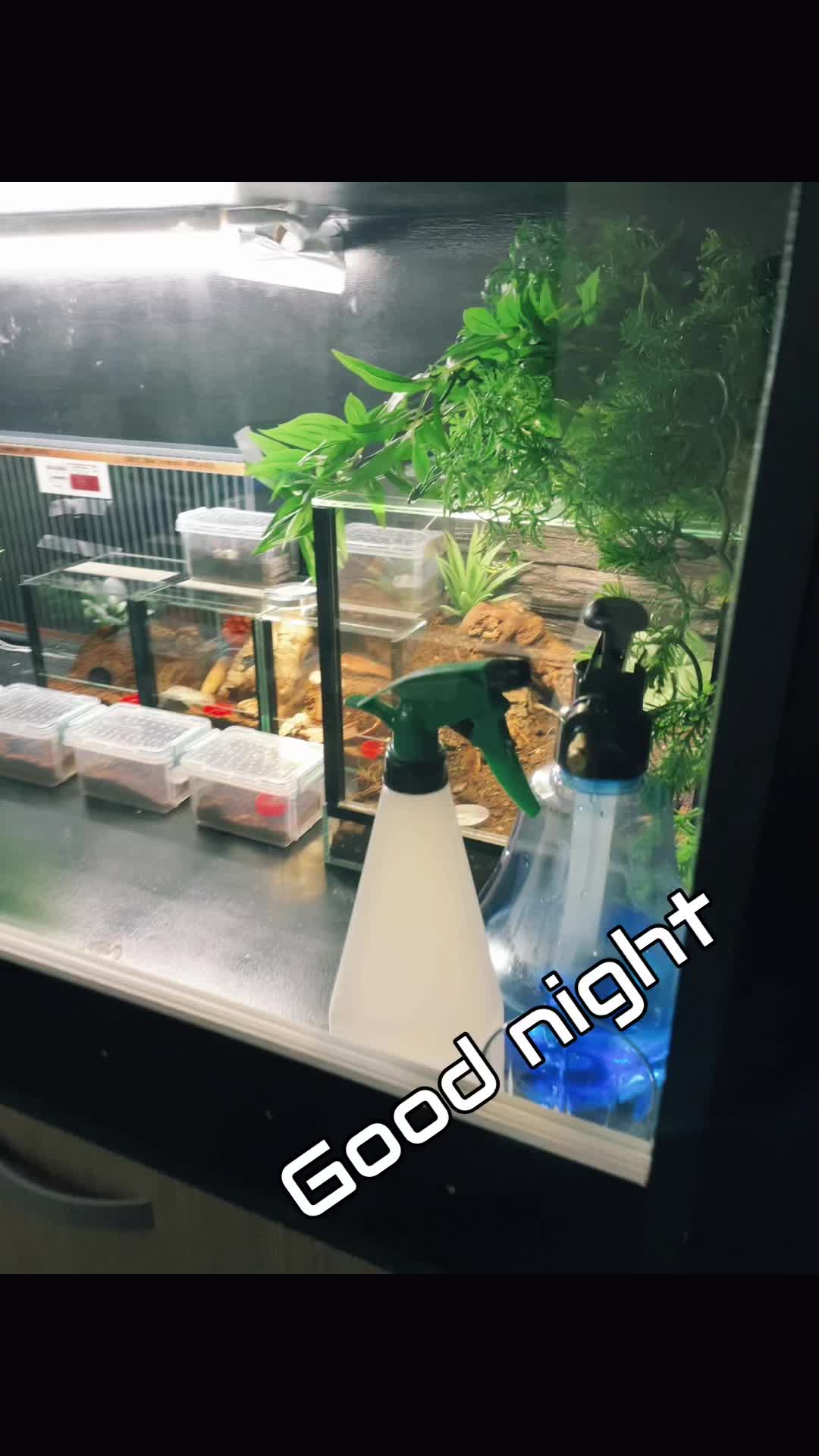 @C&N Reptiles & Co