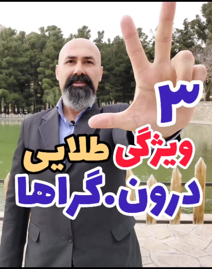@حسن میری/مدرس فن بیان