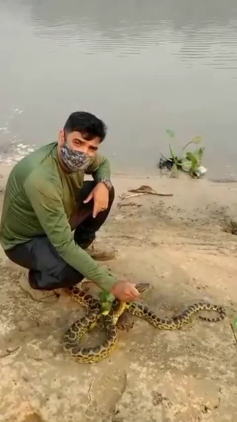 @Pantanal Sul-Matogrossense