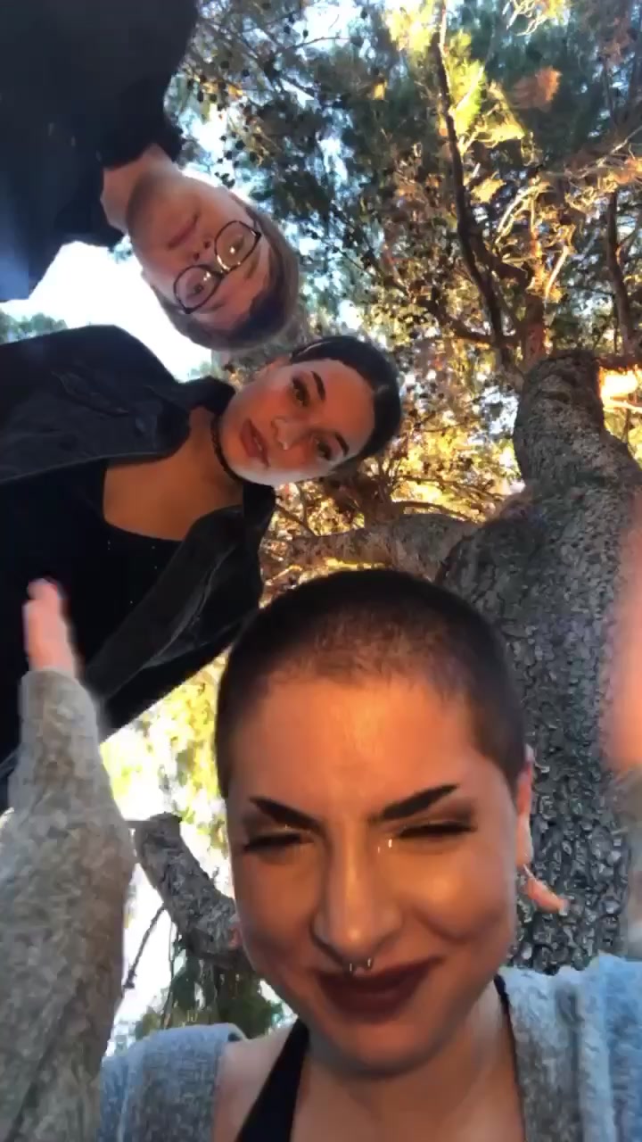 @alcoholicaligator