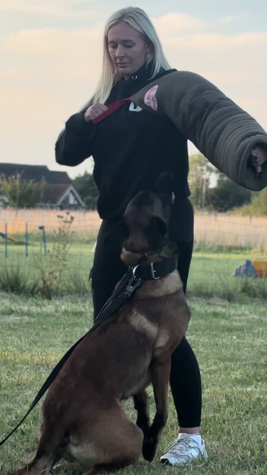 @Sirius K9