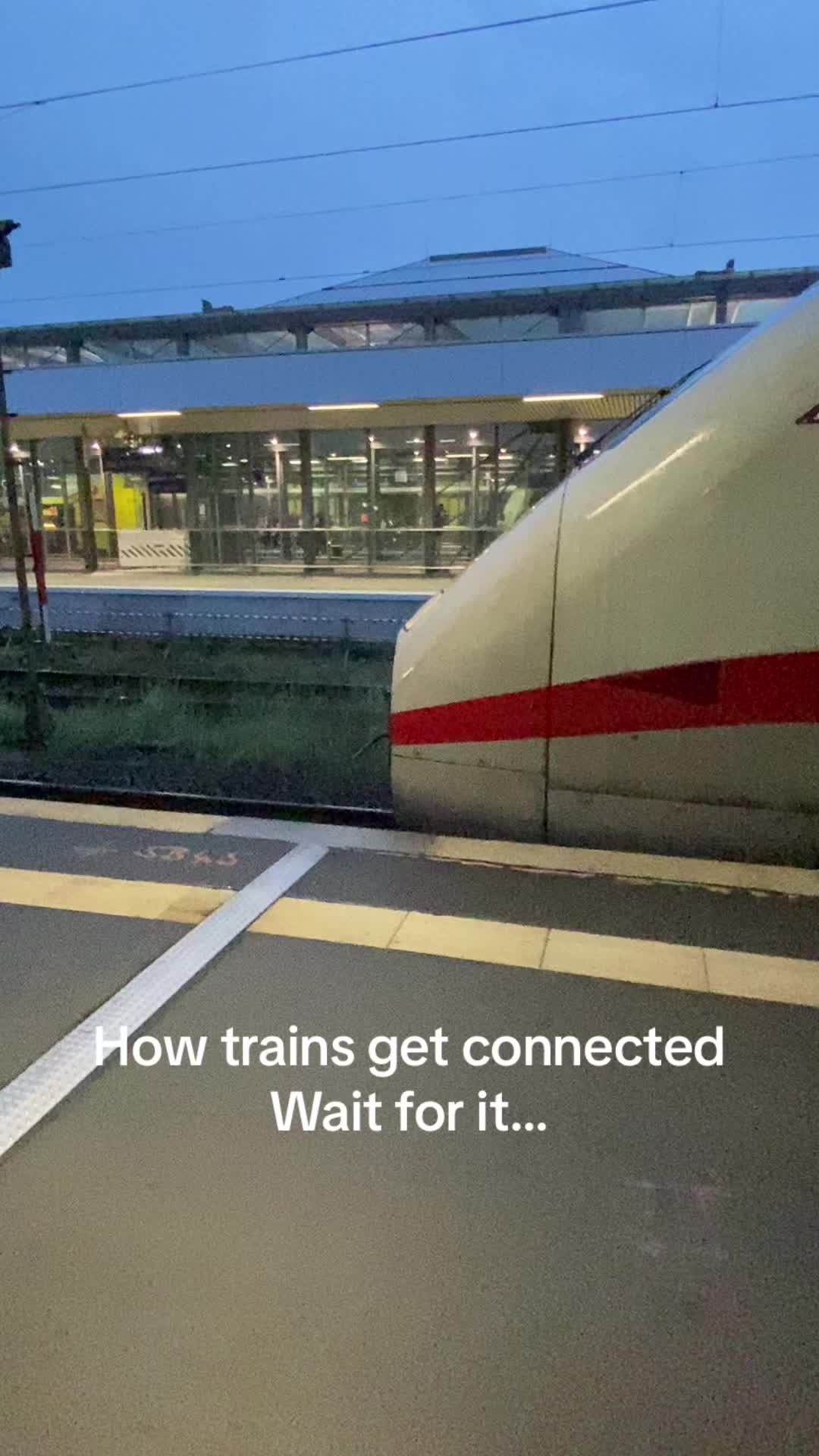 @Tara