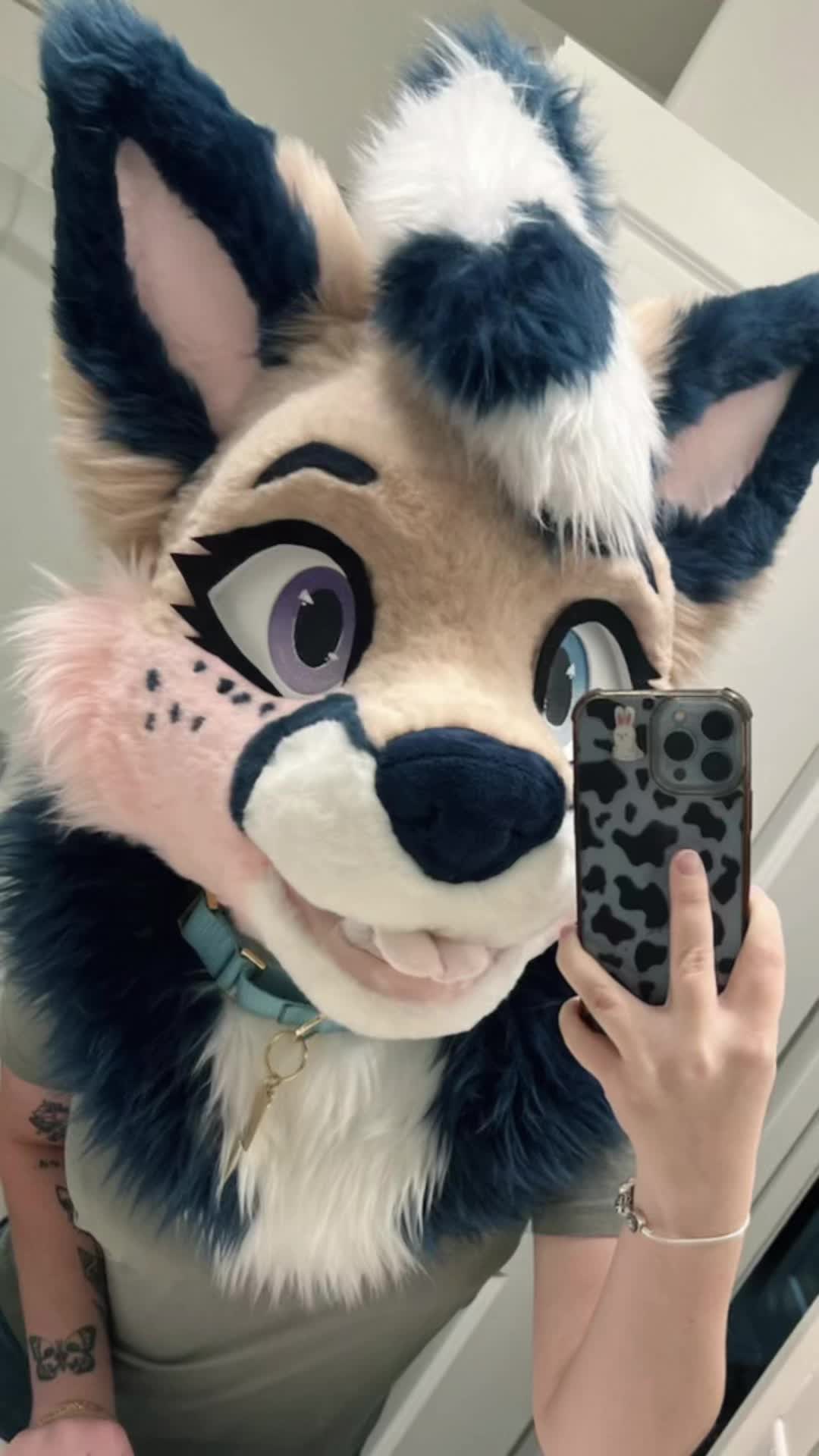 @⚡️Knox Coyote