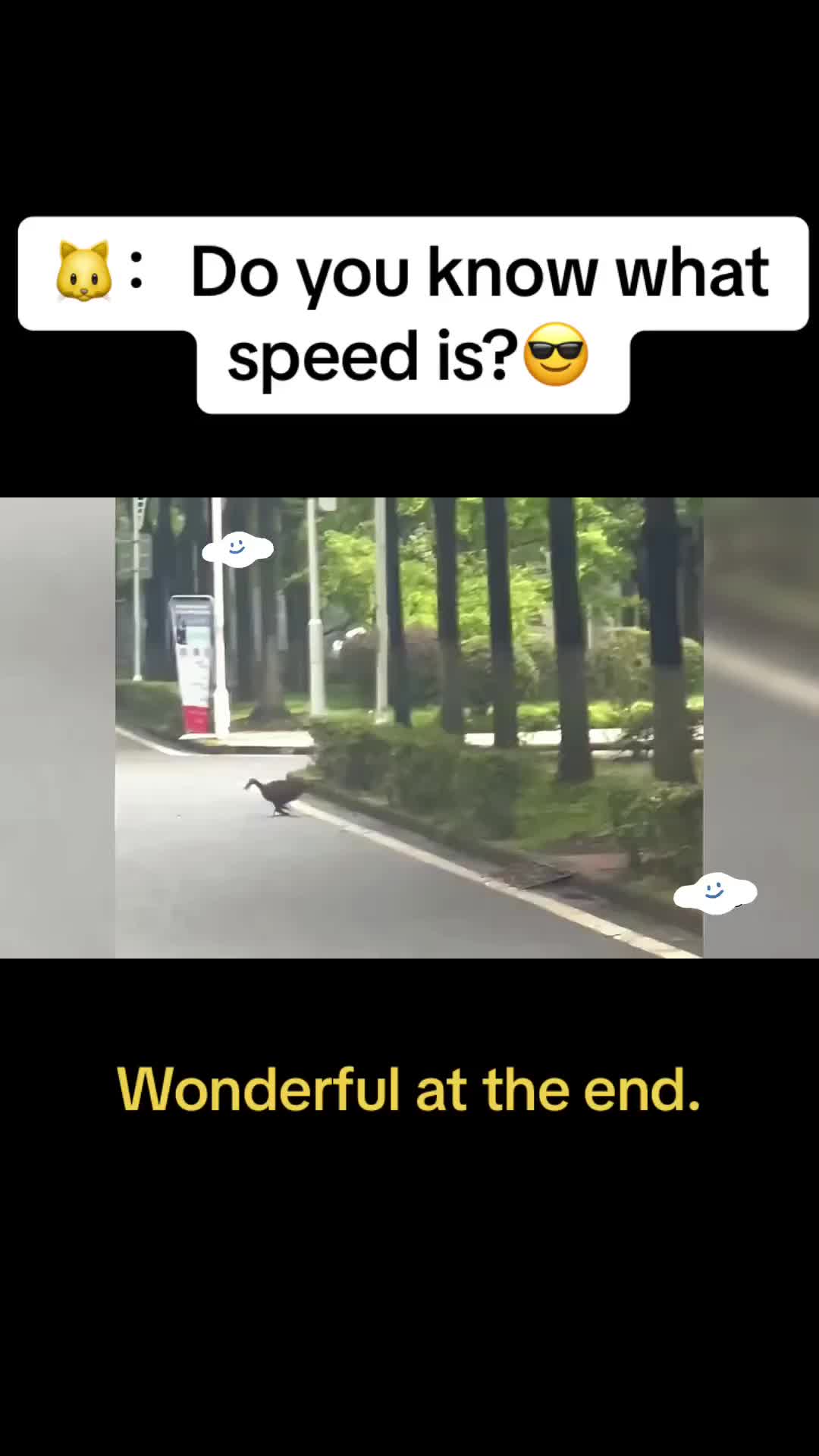 @Cute Pets😻