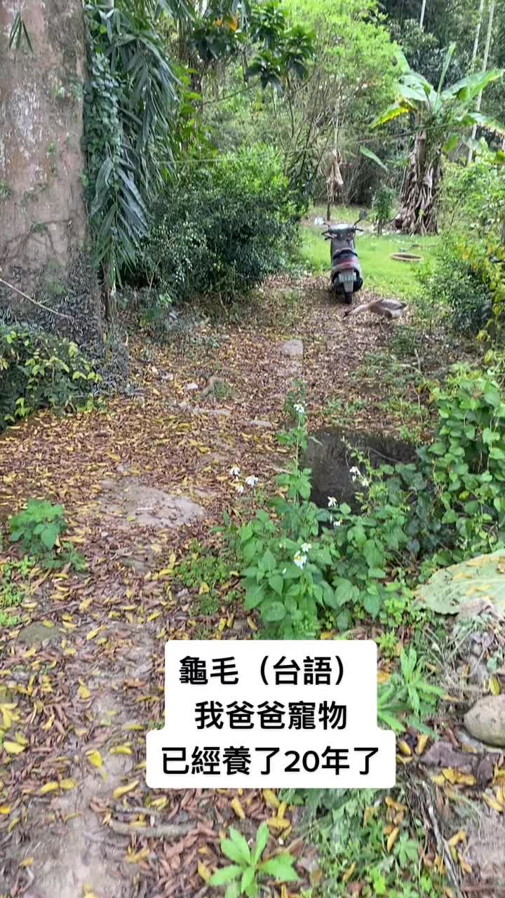 @自然～