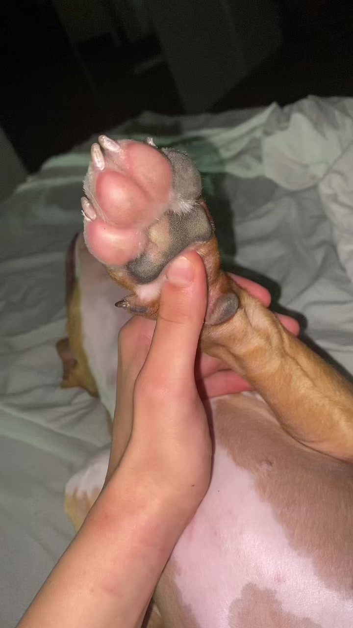 @michelleamari1