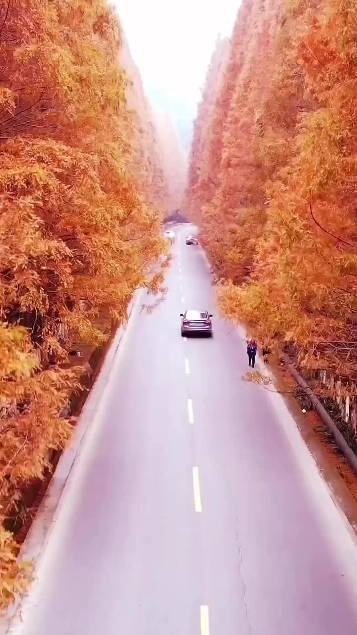 @Nature+Lofi
