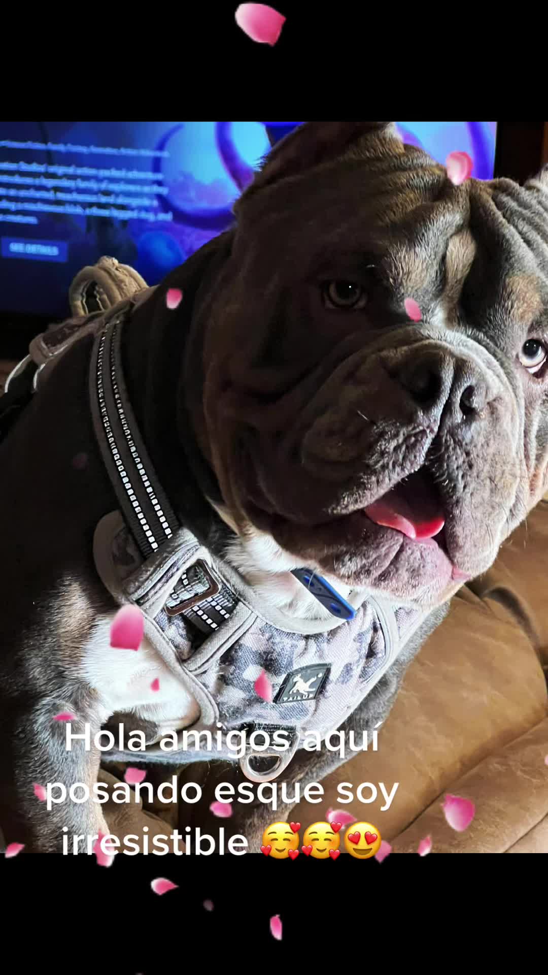 @Ana De La O Morales