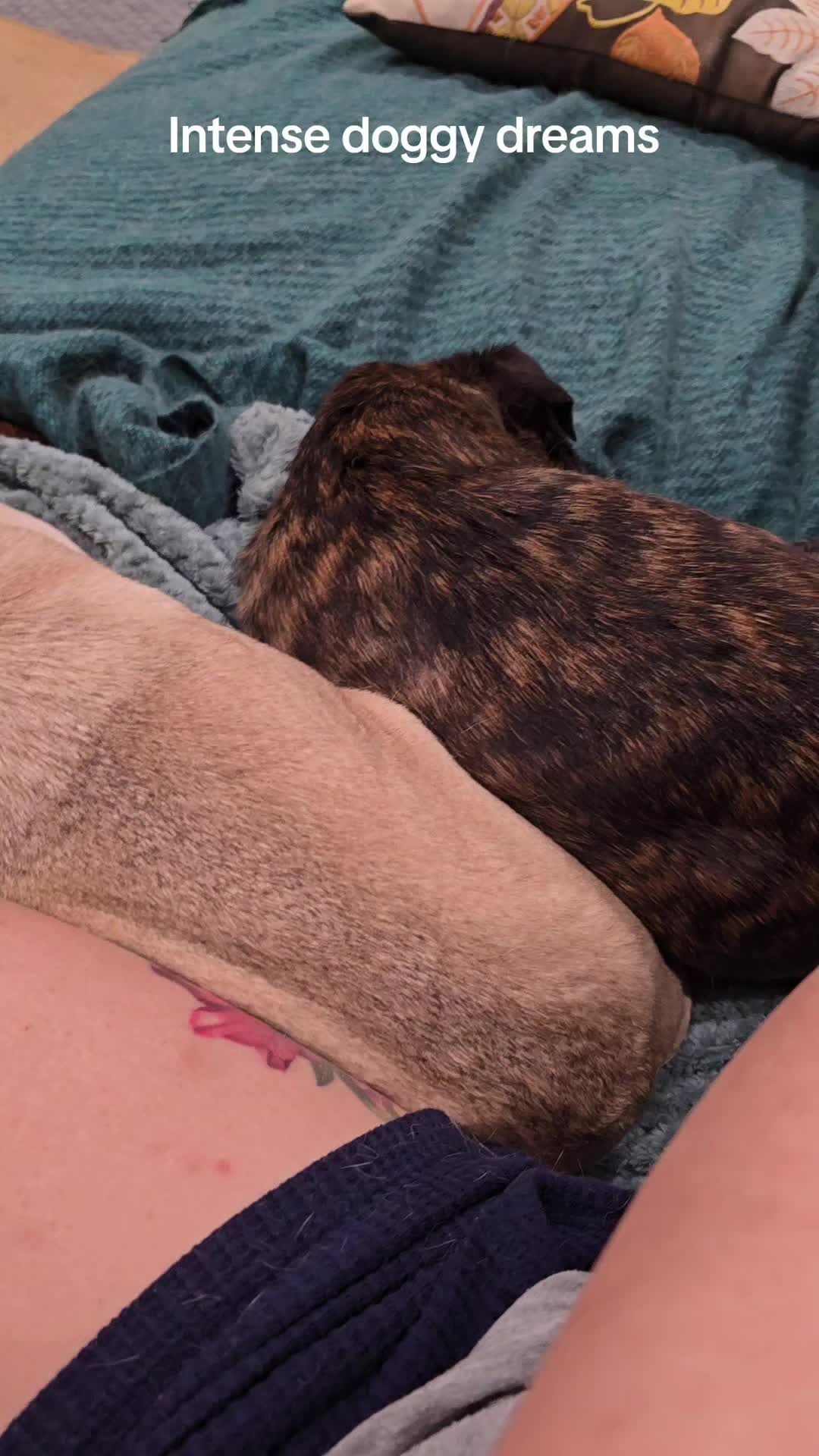 @Bah Humpug