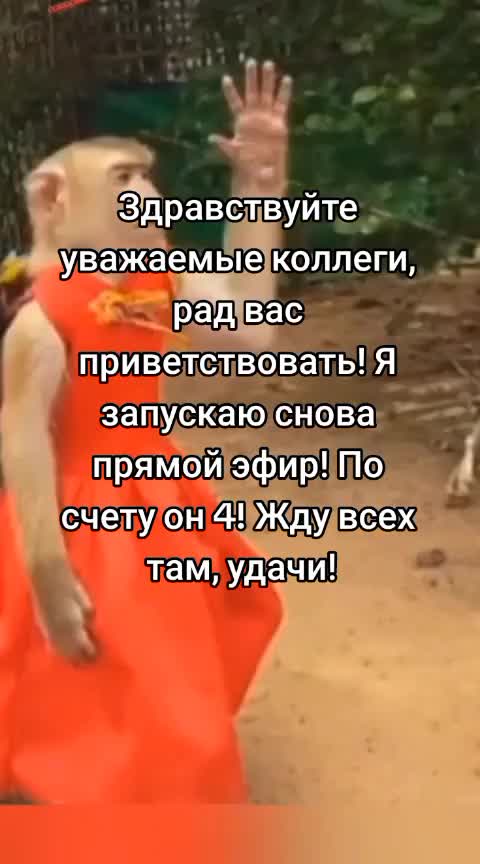 @что тебе нужно сдесь, леди?