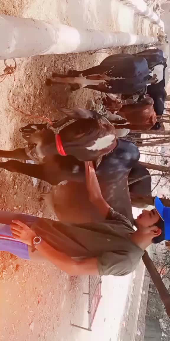@usaid rao