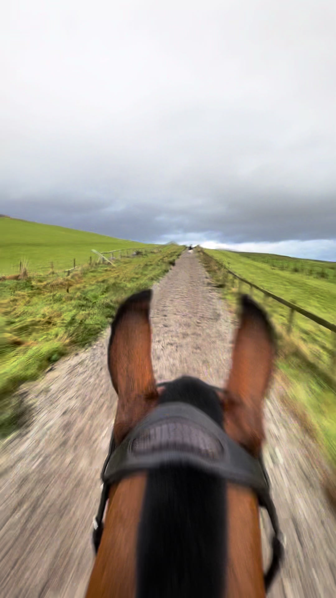 @Yardd | Equine Life Simplified
