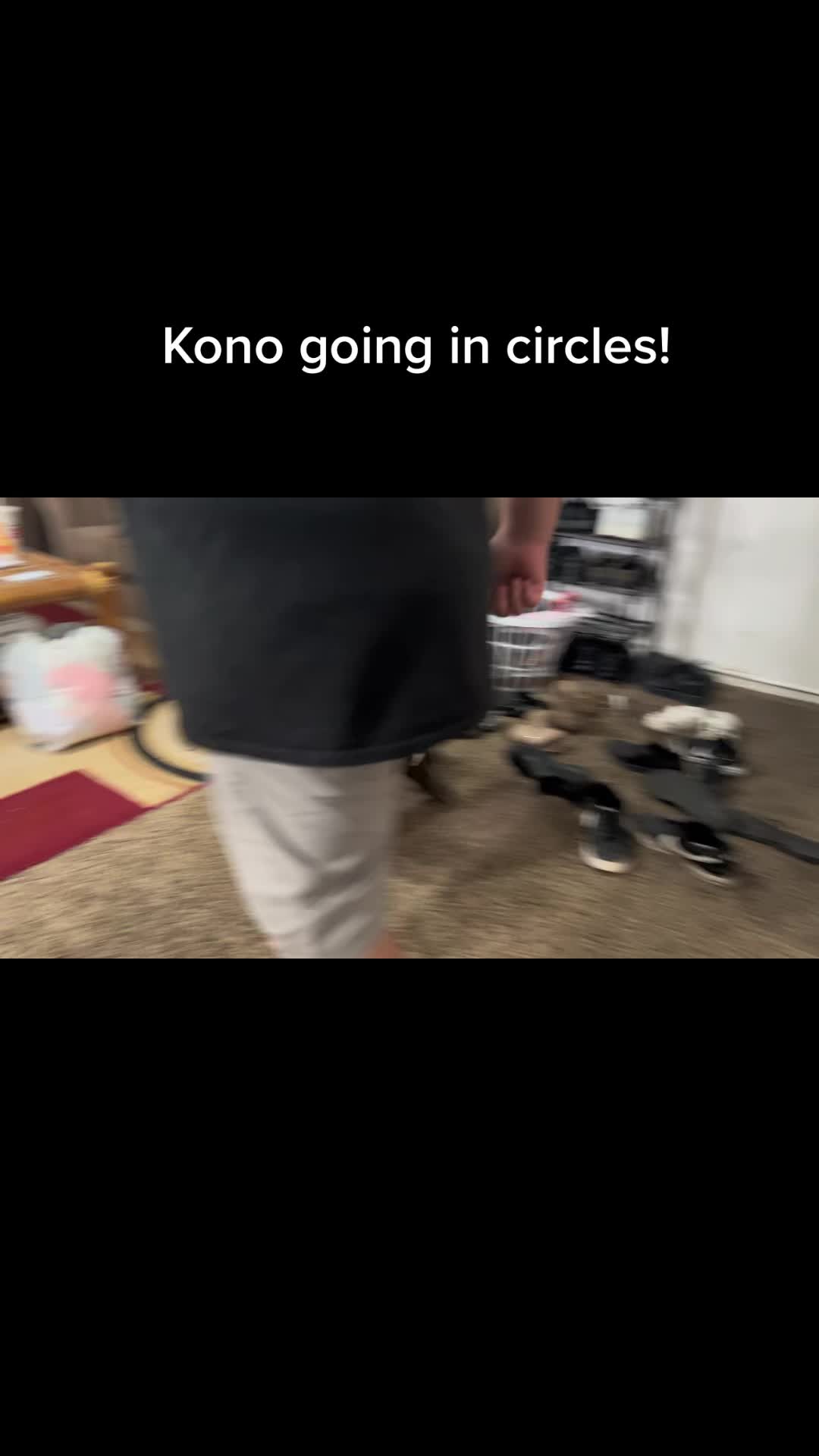 @Kono the bully