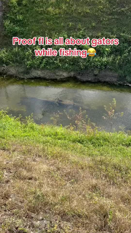 @DC.Fishin