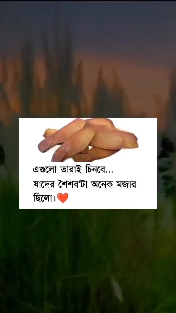 @đ¤đĻSURAIYA QUEENđĻđ¤