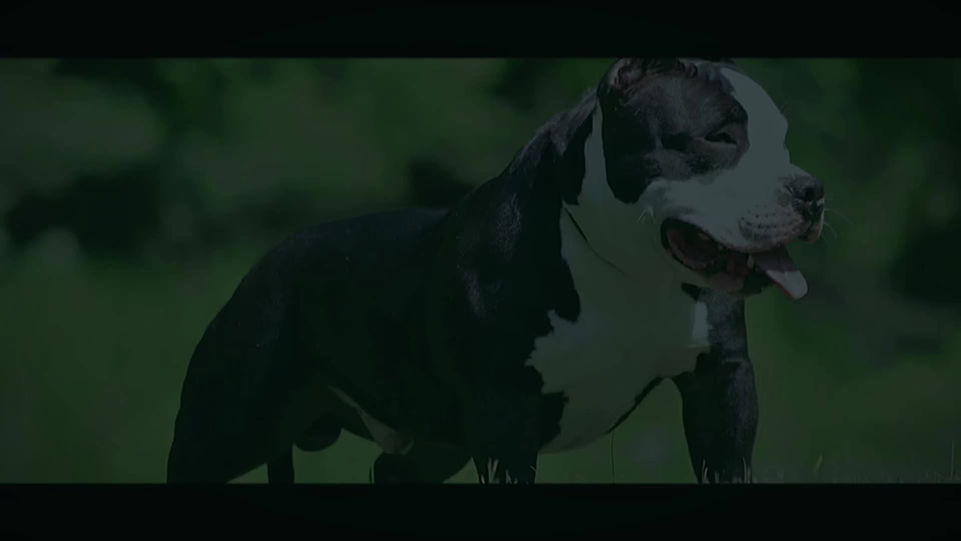 @BullMassProminence