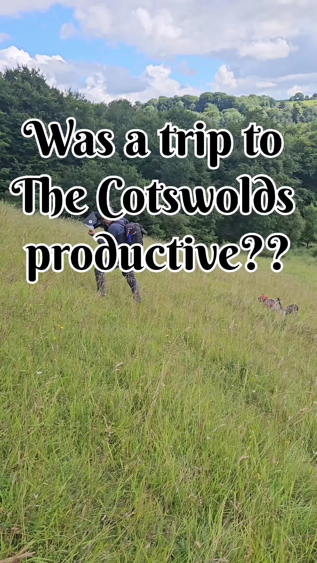 @weemadbeasties