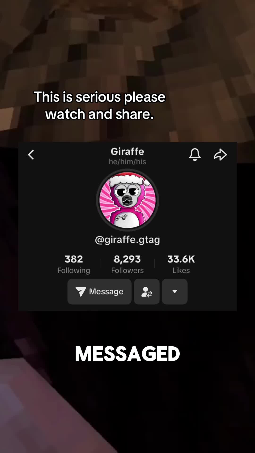 @GrayTheBotVr⚙️