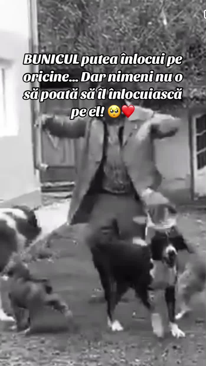@Voichița Boboia 🍭