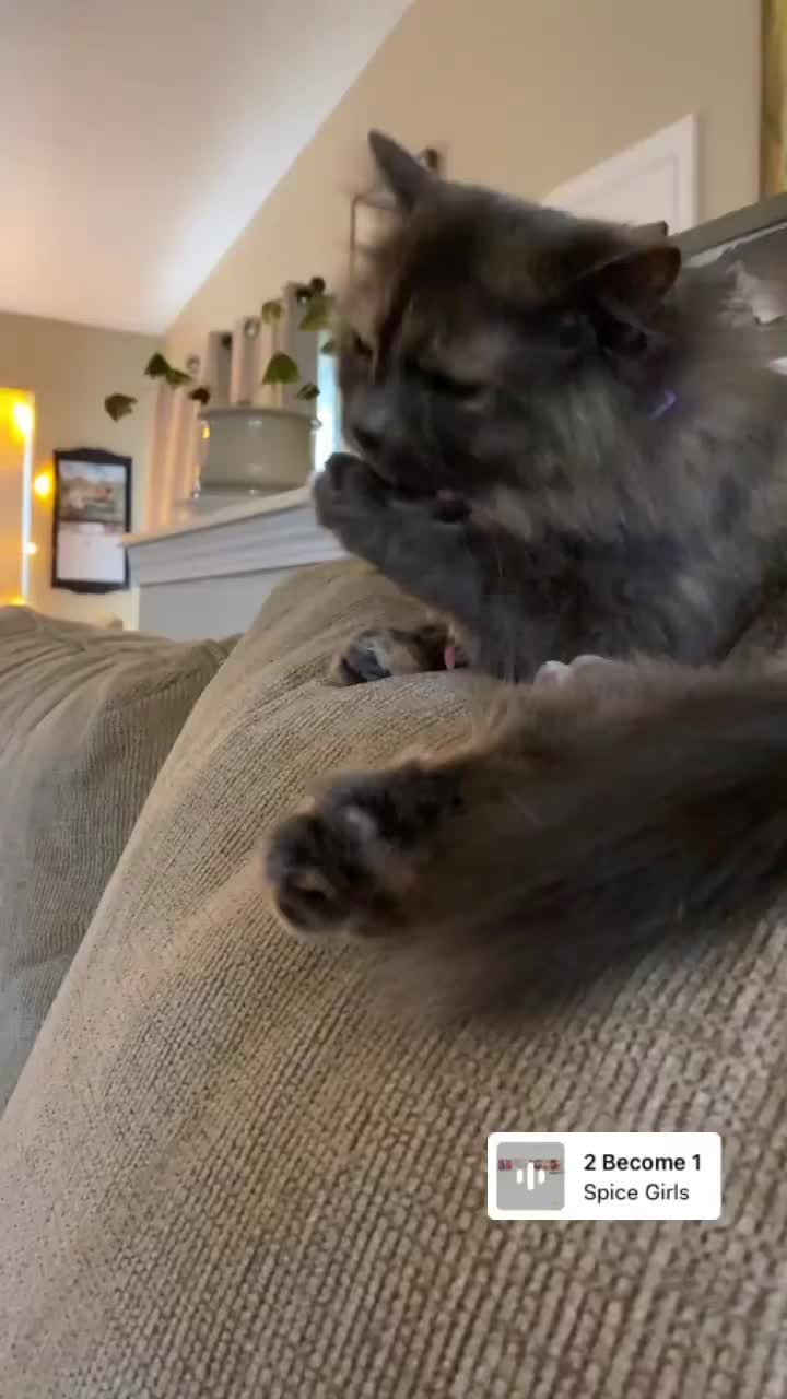 @Chelsea Siegfried