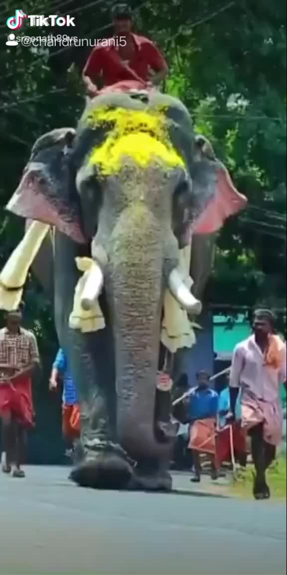 @Chandru Nurani