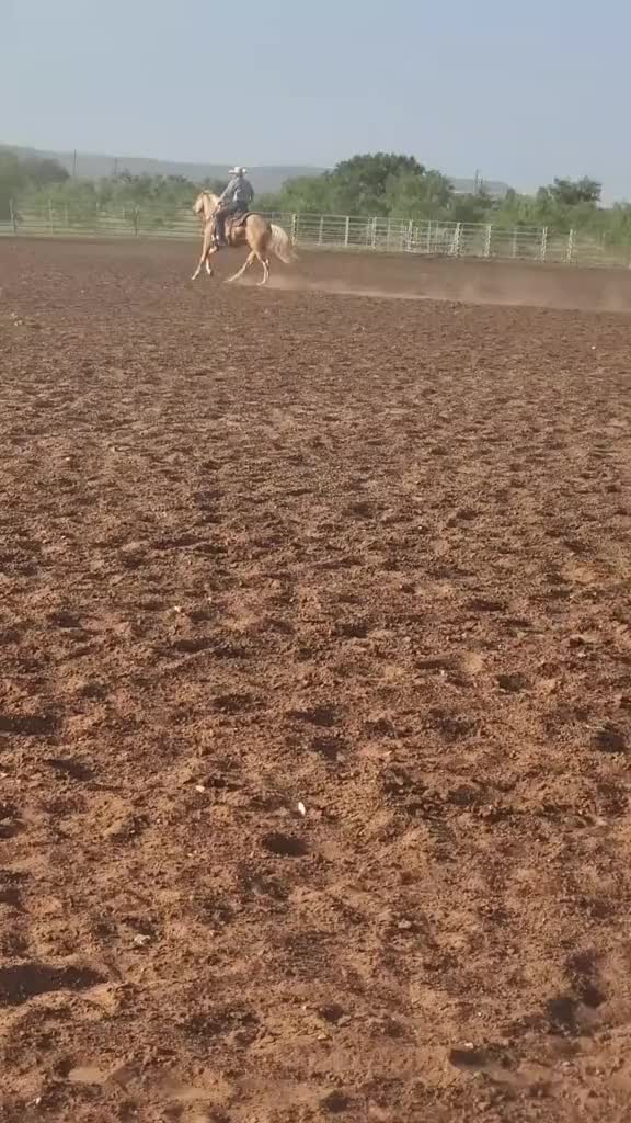 @Angel.yeet❌️yourlast haw🇺🇲🐴
