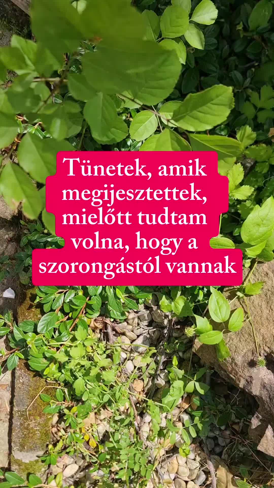@Lóki Eszter Pszichológus