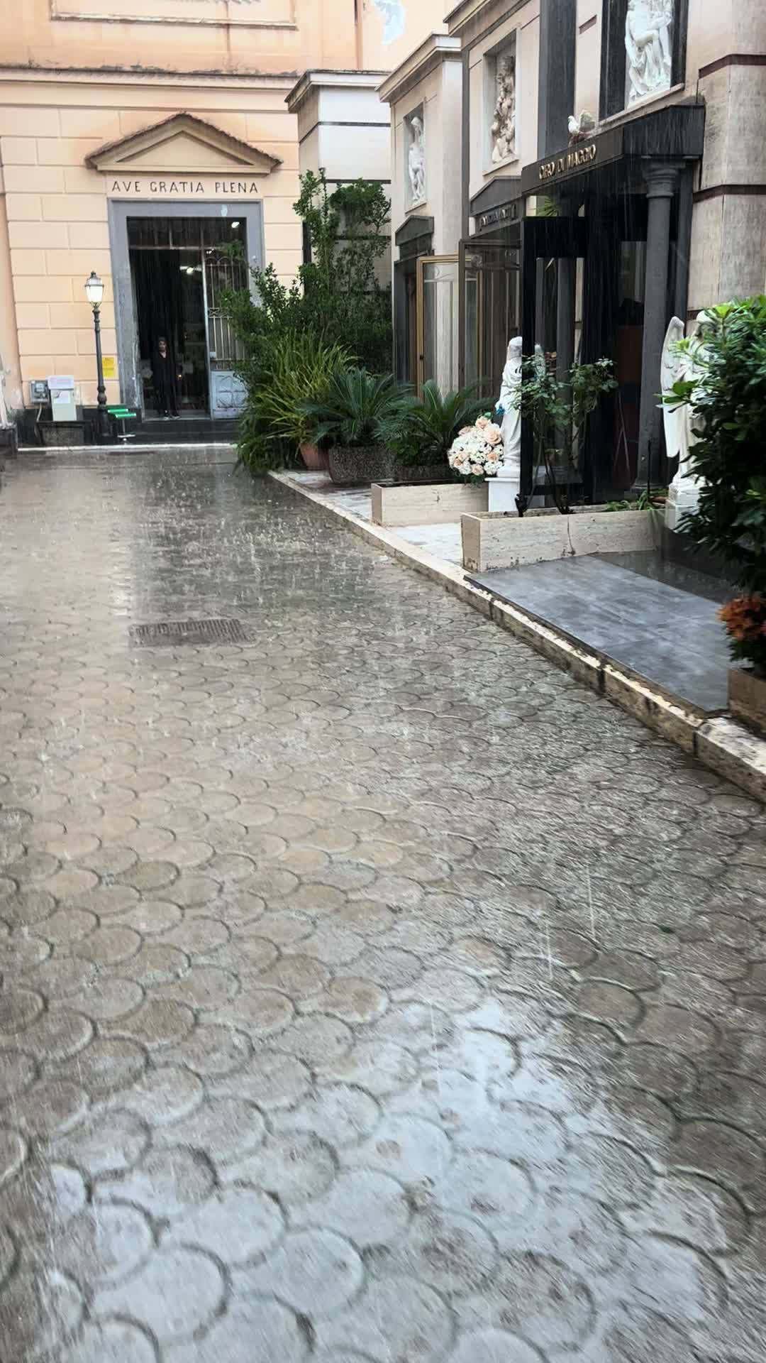 @angelaalessia10