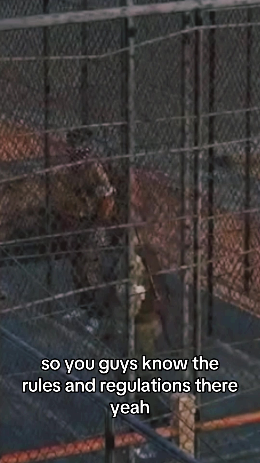 @Oath Lore